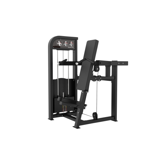 SHOULDER PRESS - 1