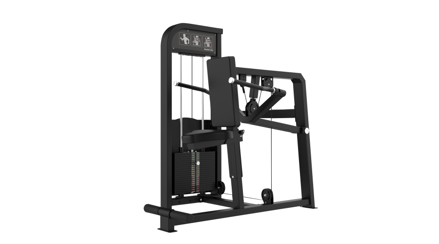 DIPS / TRICEPS MACHINE - 1