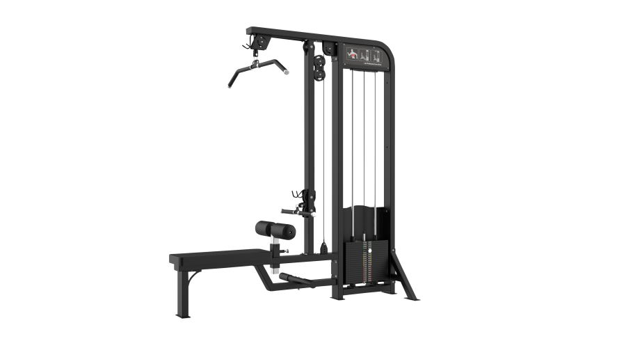 LAT PULLDOW & LOW ROW - 1