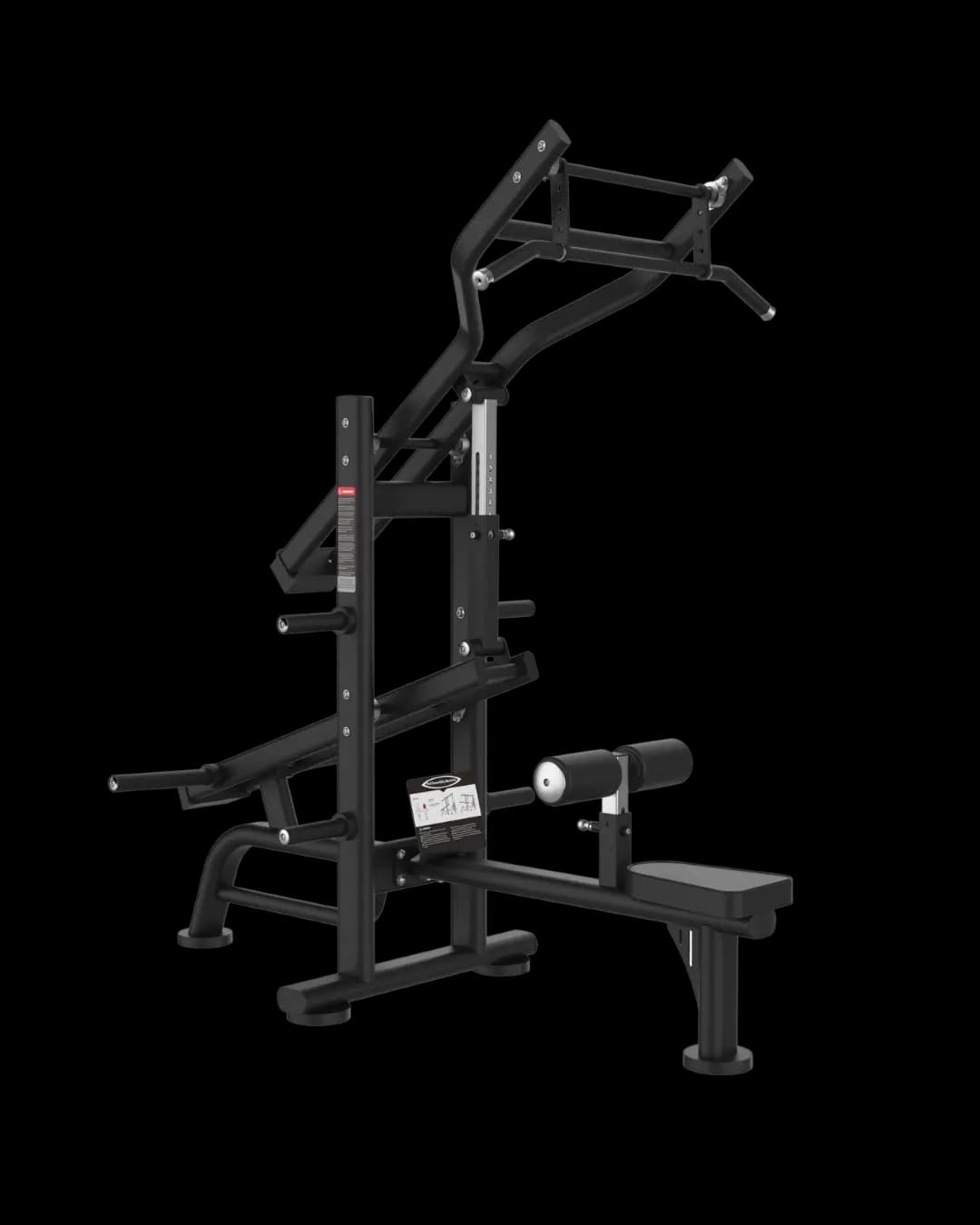 Tirage Vertical & Dips Triceps — À Disques — alternate view