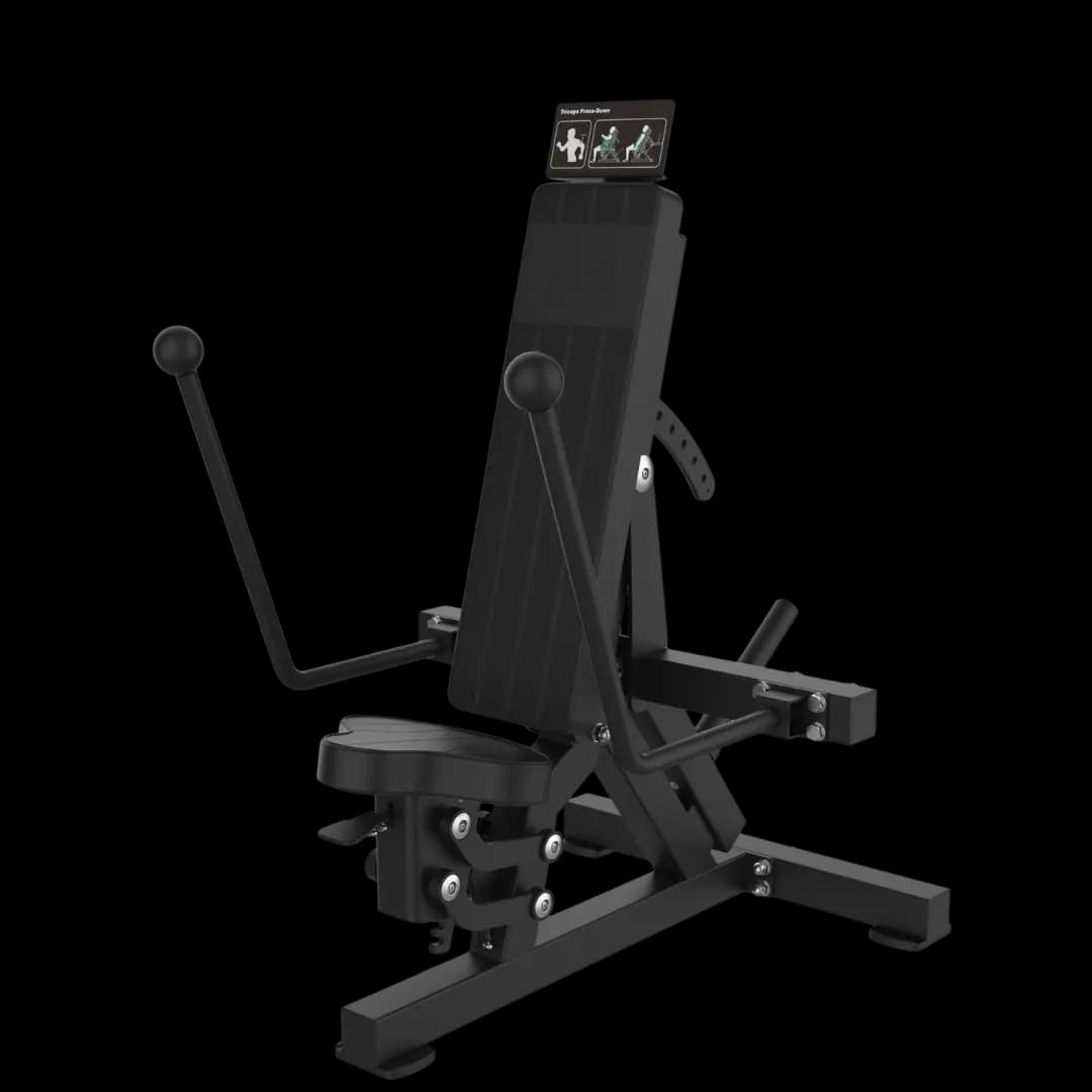 Triceps Dip Assis — À Disques — alternate view