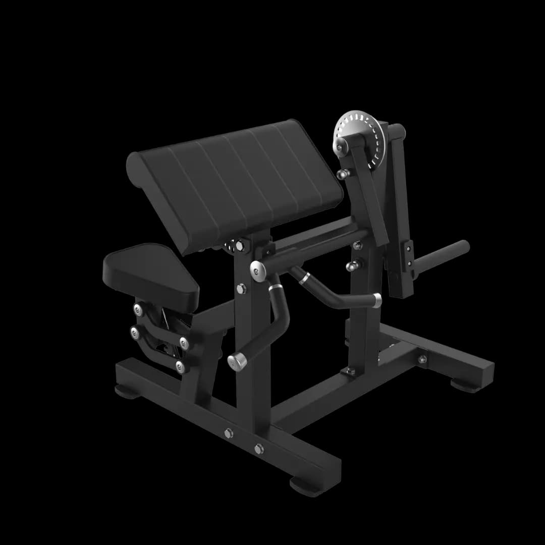 Biceps & Triceps Combo — À Disques — alternate view