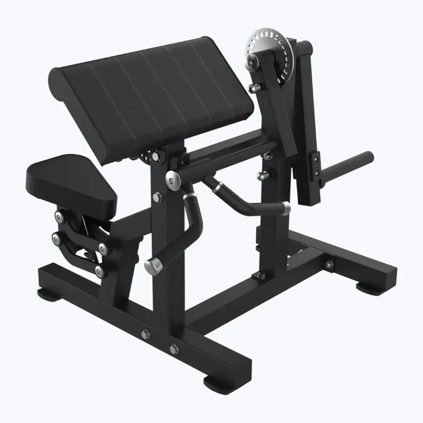Biceps & Triceps Combo — À Disques