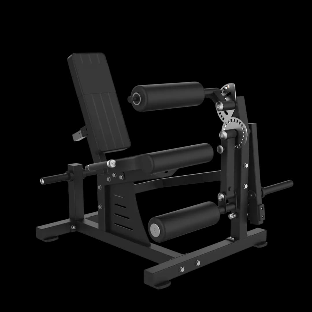 Leg Extension & Leg Curl Combo — À Disques — alternate view