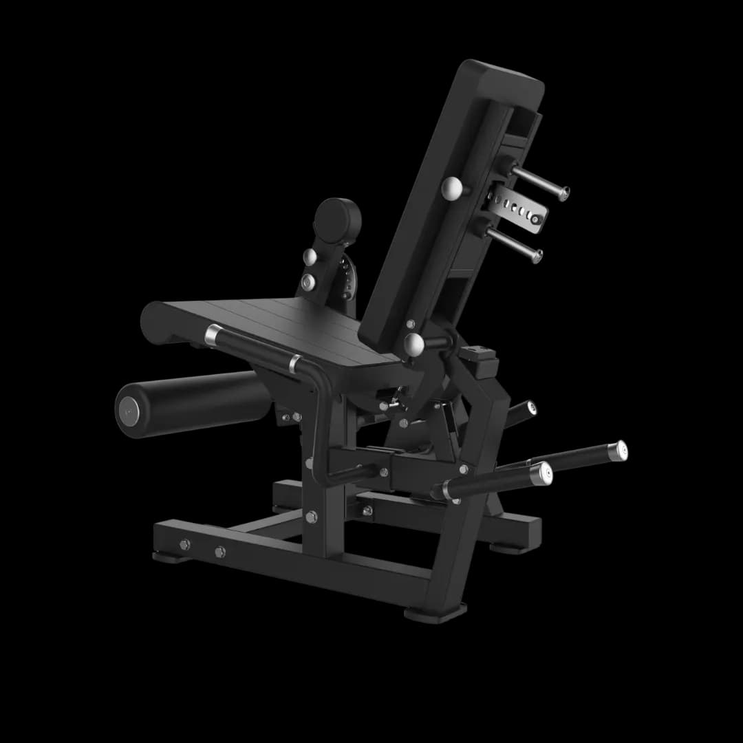 Leg Extension & Leg Curl Combo — À Disques — alternate view