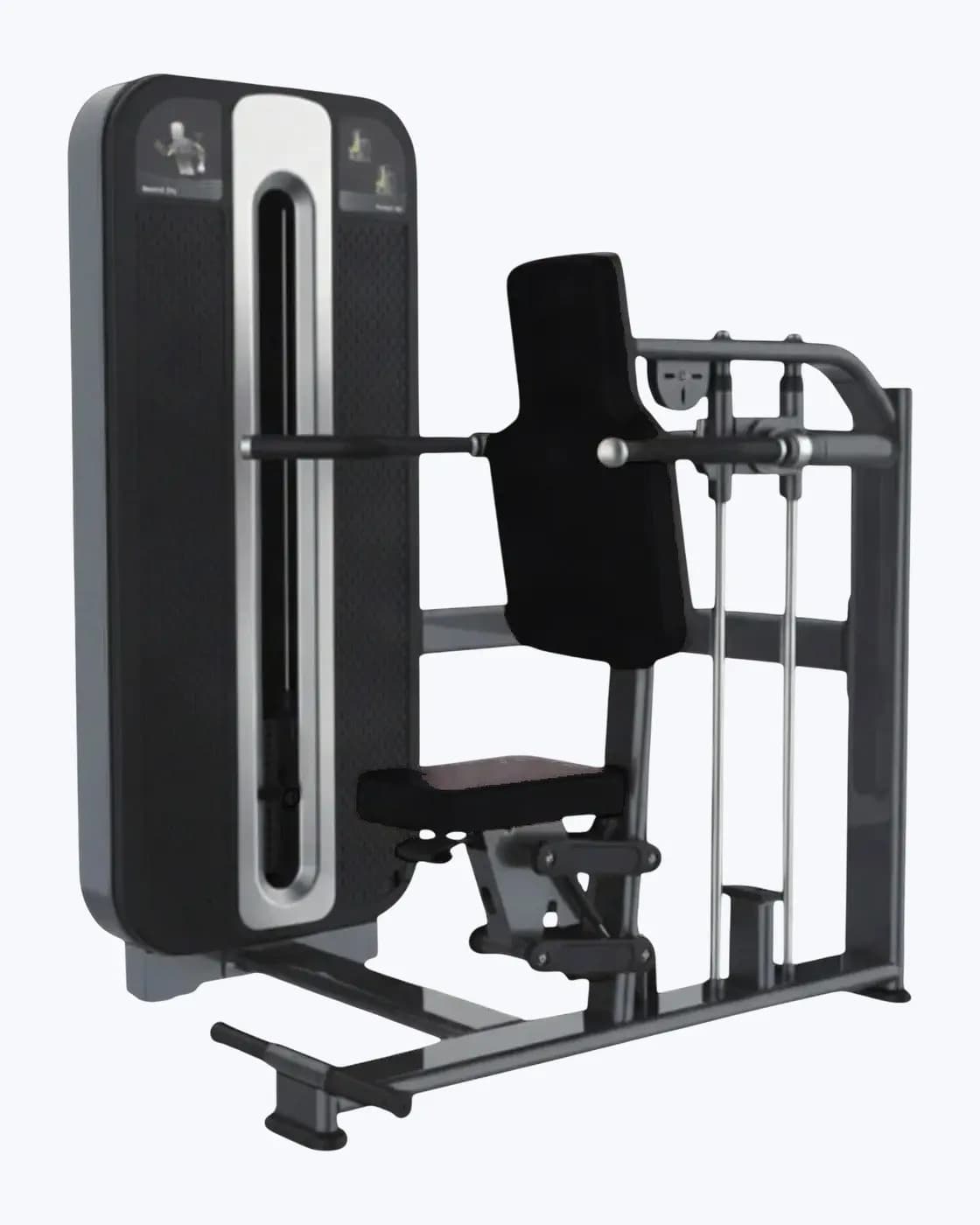 Machine Dips Assis — Charge Guidée