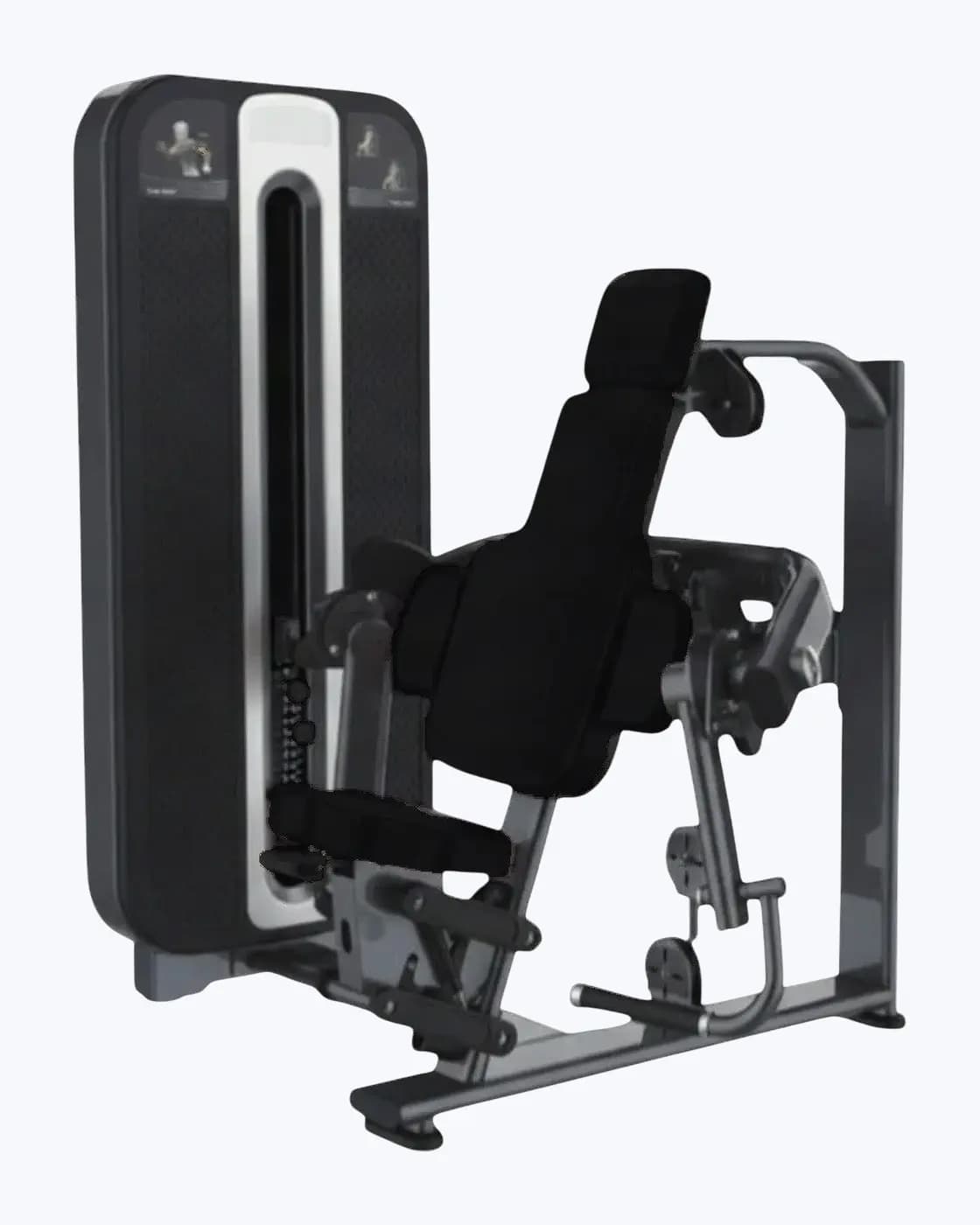 Curl Biceps Assis — Charge Guidée