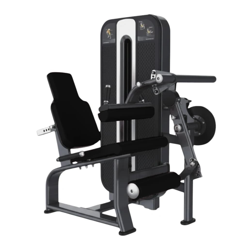 Leg Extension & Leg Curl Combo — Charge Guidée — alternate view