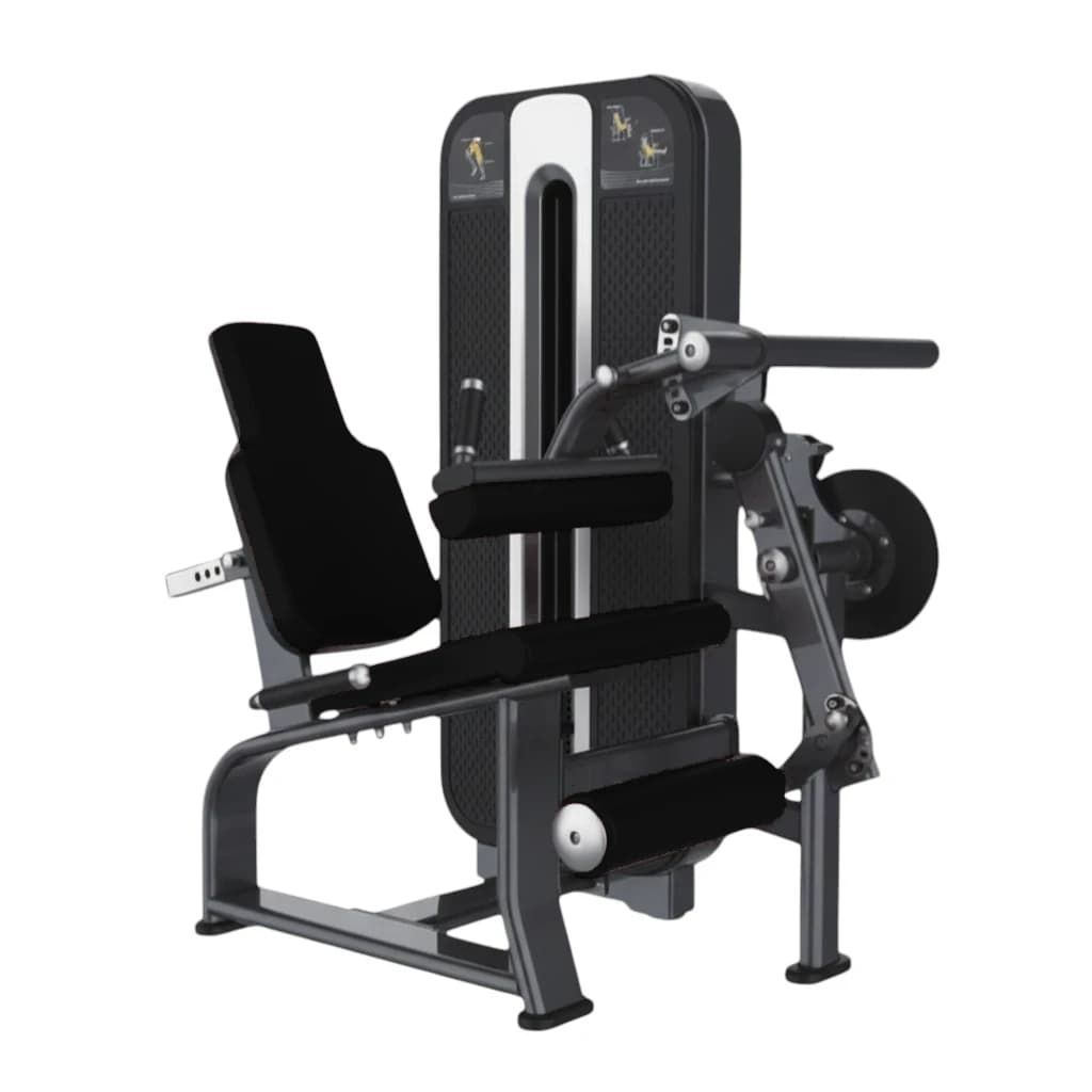 Biceps Curl Assis — Charge Guidée — alternate view