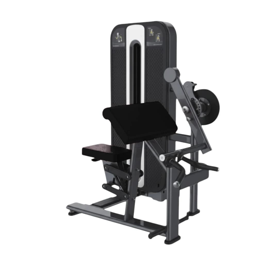 Triceps Extension & Biceps Curl — Charge Guidée — alternate view