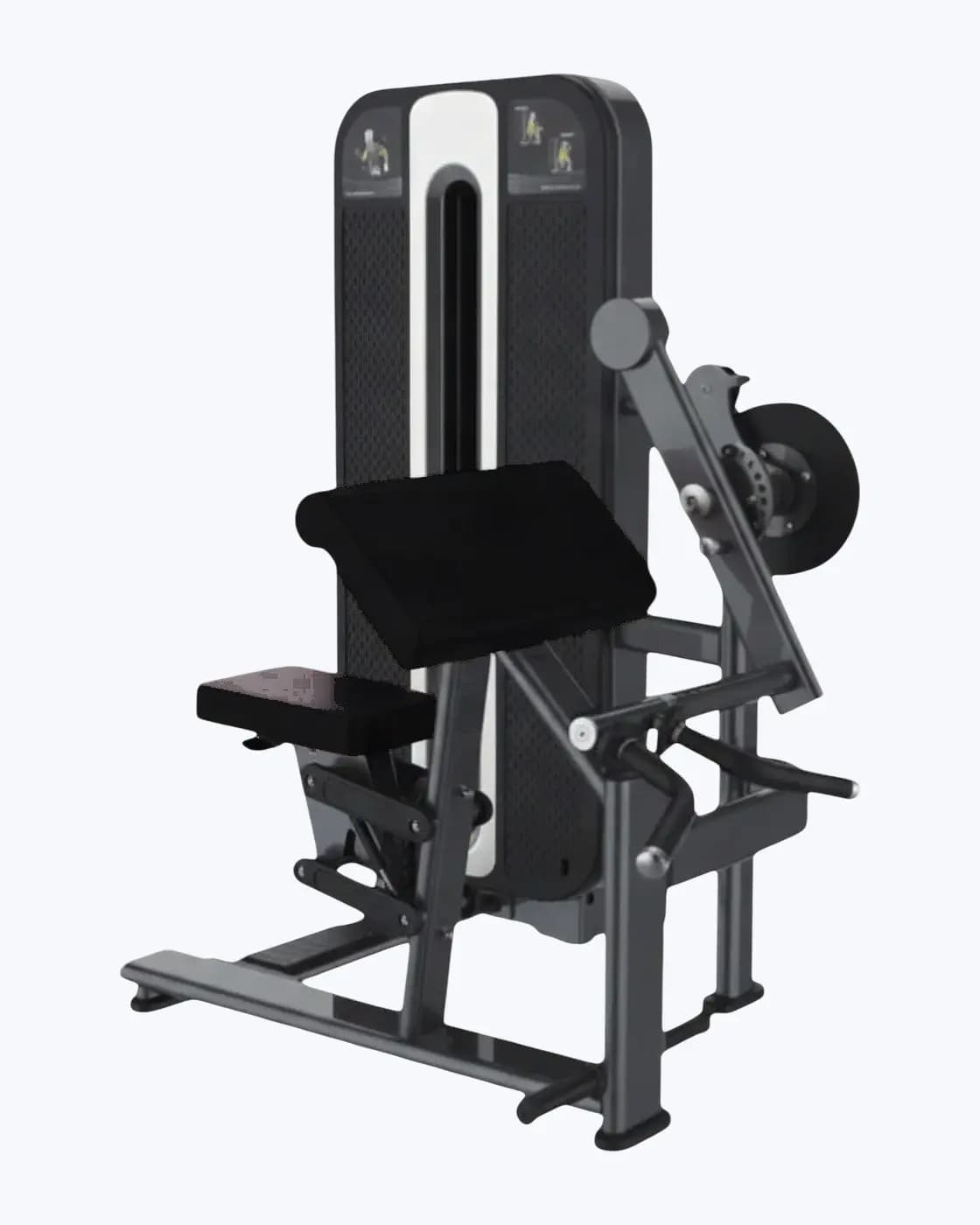 Triceps Extension & Biceps Curl — Charge Guidée