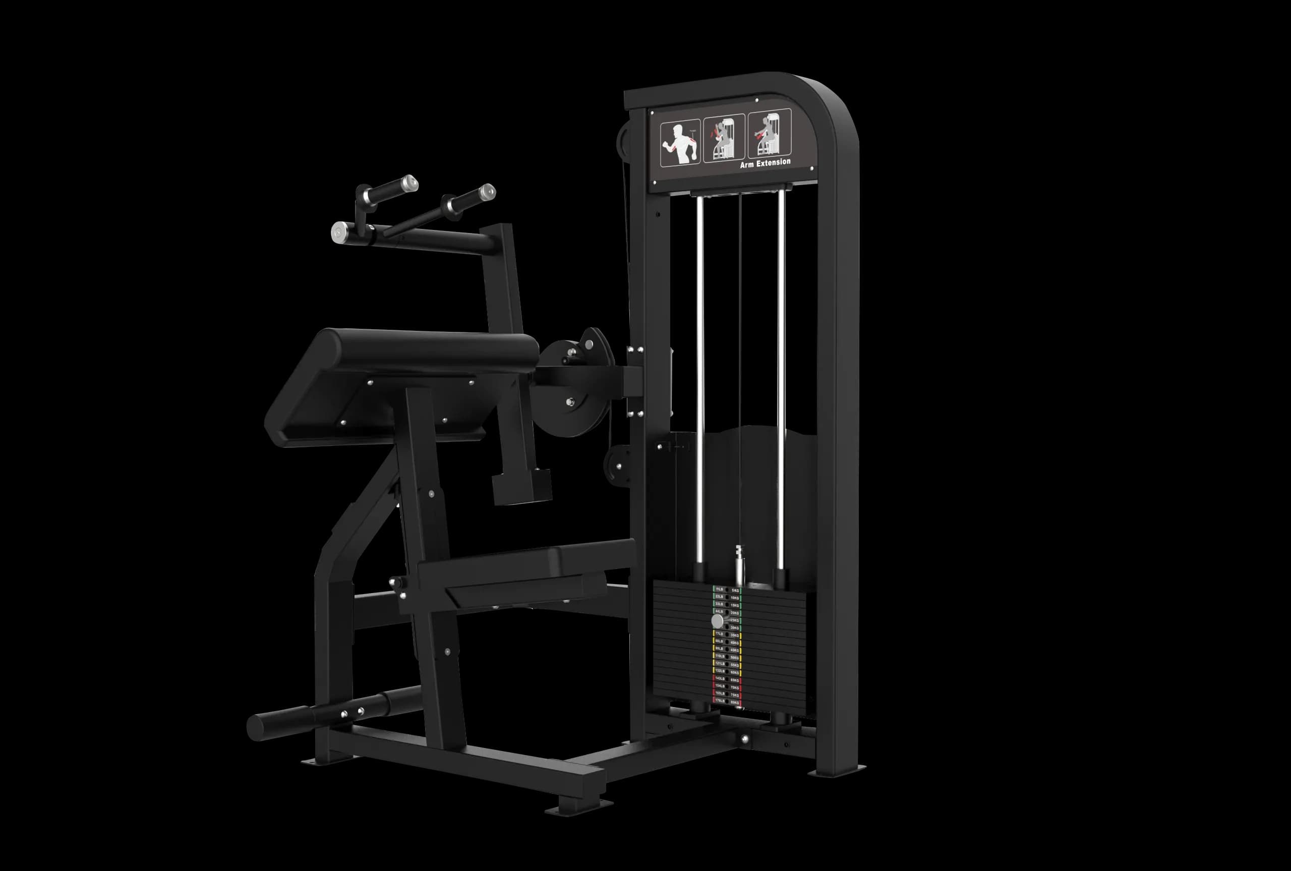 Extension Triceps Assis — Charge Guidée — alternate view