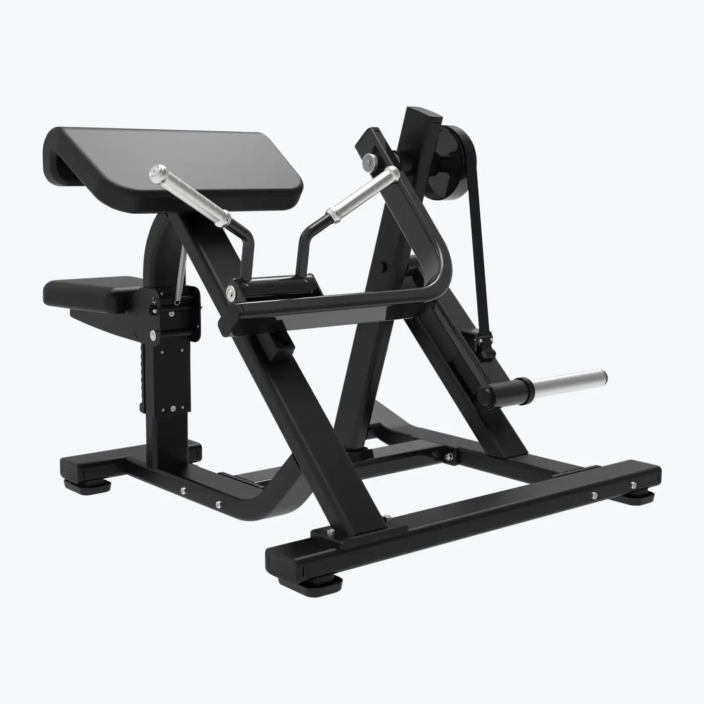 Curl Biceps Assis — À Disques