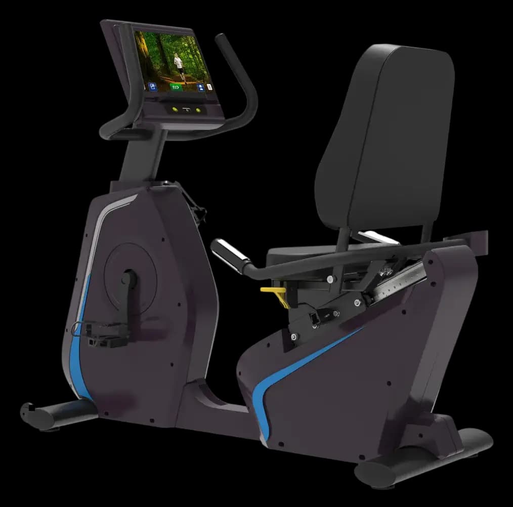 Vélo Couché — alternate view